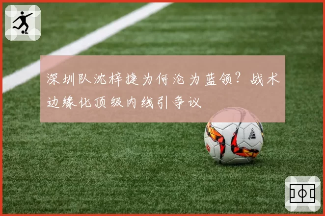 深圳队沈梓捷为何沦为蓝领？战术边缘化顶级内线引争议