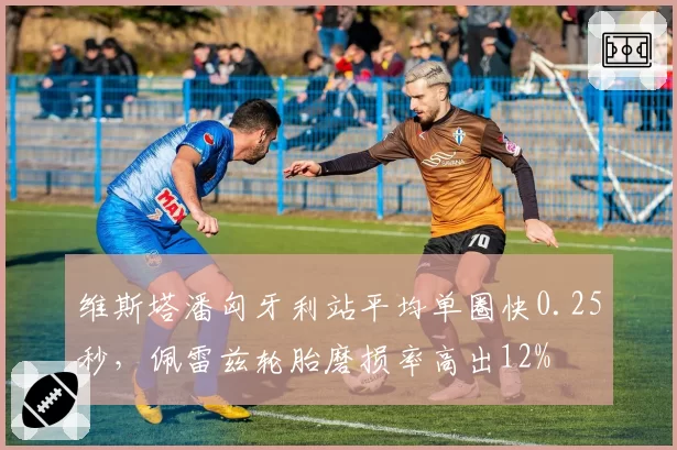 维斯塔潘匈牙利站平均单圈快0.25秒，佩雷兹轮胎磨损率高出12%