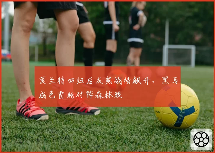 莫兰特回归后灰熊战绩飙升，黑马成色首轮对阵森林狼