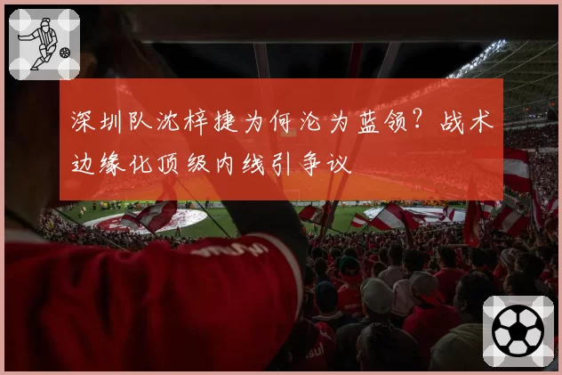 深圳队沈梓捷为何沦为蓝领？战术边缘化顶级内线引争议